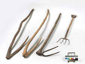 こいかぎ・ほおく