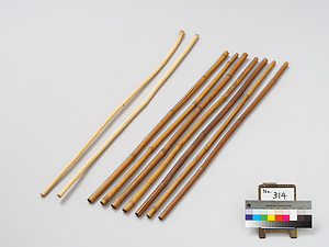 あやだけ・こうぞのぼう