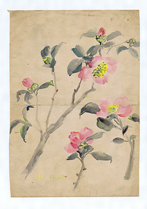 静物（サザンカ，野菜）