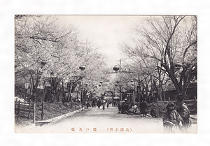 絵葉書「（高岡名所）桜の馬場」