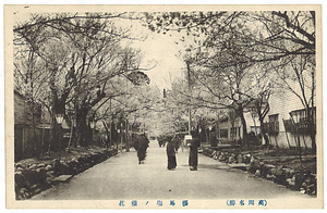 絵葉書「（高岡名勝）桜馬場ノ桜花」