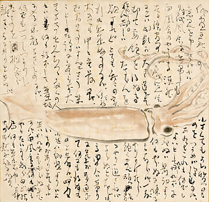 筏井竹の門書簡《俳画についての意見「烏賊図」》（内島北朗宛）