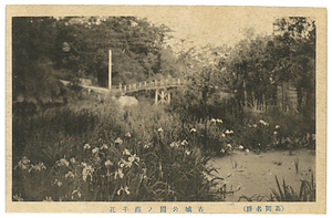 高岡名勝絵葉書（古城公園燕子花、同記念碑）