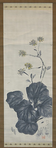 紙本墨画淡彩石蕗図
