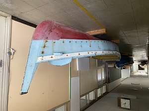 キンパチ（カイゾウセン）