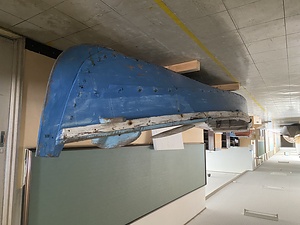 キンパチ（カイゾウセン）