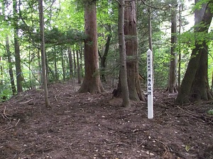波多山城跡