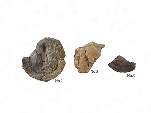 台渡里廃寺跡南方地区第１号工房跡出土資料