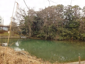 大聖寺藩邸河道跡及び北面石垣