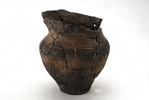 八重垣神社遺跡出土弥生土器