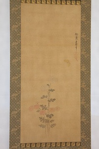 松平大和守直矩筆絹本著色菊図