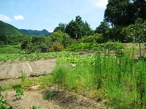 塚谷五輪の埴輪出土地