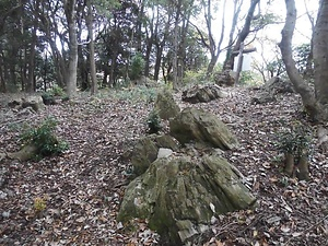 篠栗の埋没化石林