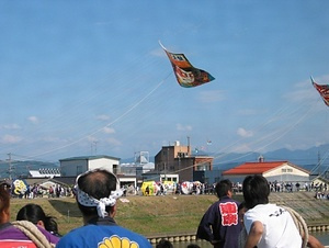 越後の凧合戦習俗