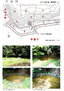 ヒカリモ発生地
