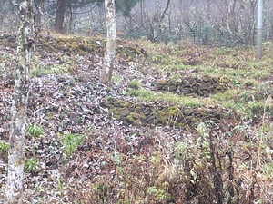 戊辰戦争及位の戦い台場跡