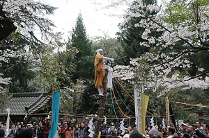 宝城坊の神木のぼり