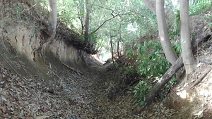 国分寺市重要史跡　恋ヶ窪村分水