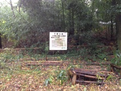 中川低地の河畔砂丘群　高野砂丘