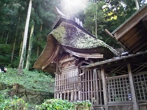 南方諏訪神社本殿