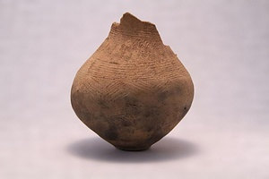 中野大沢出土の弥生土器