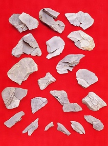 鶴峯荘第１地点遺跡出土品