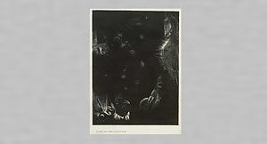 ｢聖アントワーヌの誘惑｣第三集 ⅩⅩⅢ. さまざまな住民が大洋の国々に棲んでいる