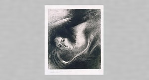 「聖ヨハネ黙示録」 Ⅹ. 彼らを惑わしたる悪魔は火と硫黄との池に投げ入れられたり。ここは獣も偽預言者もまたいる所にして