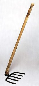 五本マンノウ　（コデギリマンノウ）