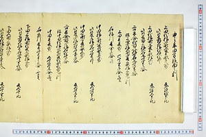 (問屋場0171）申之年田方段面之割