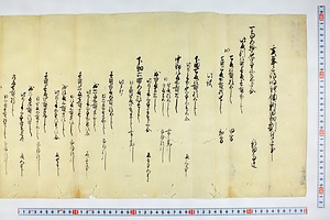 (問屋場0261）亥年三島明神領新田畑割付之事