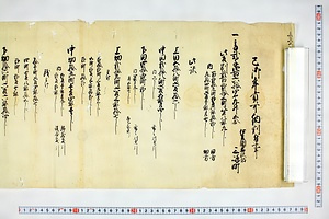 (問屋場0299）巳御年貢可納割付事