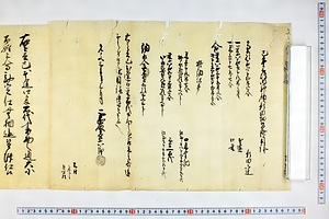(問屋場0303）巳年三嶋明神領新田畑皆済目録