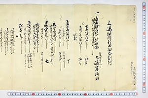 (問屋場0510）三島神領新田畑巳割付