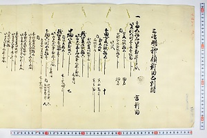 (問屋場0584）三島明神領新田巳割付