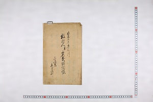 (問屋場1386）救助人并窮民取調帳