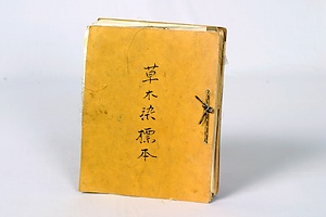 5301 草木染標本