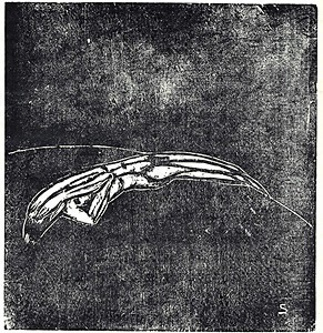 地に泪するもの『月映 VII』より