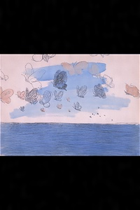 『蝶と貝殻』  海洋を渡る蝶