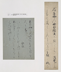 手鑑「藻塩草」 拾遺和歌集抄断簡（尼子切）
