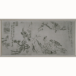 探幽縮図 鷹図巻