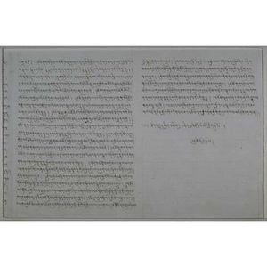 大乗無量寿宗要経