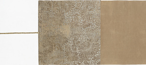 聖善住意天子所問経巻下