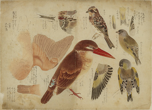 円山応挙関係資料　三井南家伝来