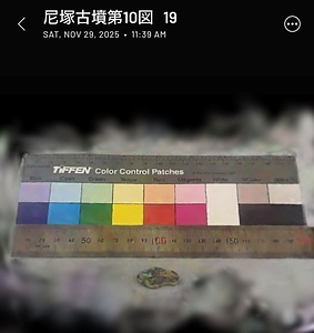 尼塚古墳出土銅鏃第9図19