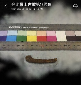 金比羅山古墳出土蕨手刀子第16図15