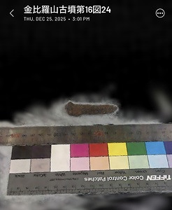 金比羅山古墳出土鉄鎌第16図24