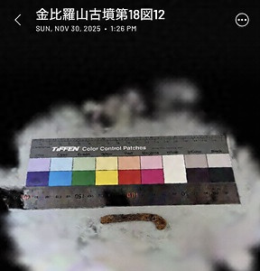 金比羅山古墳出土蕨手刀子第18図12