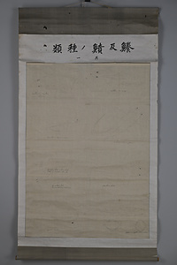 海洋センター絵画資料　22鱶（ふか）及績（ふん）ノ種類　　其一