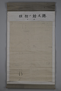 海洋センター絵画資料　24鱶（ふか）及績（ふん）ノ種類　其三